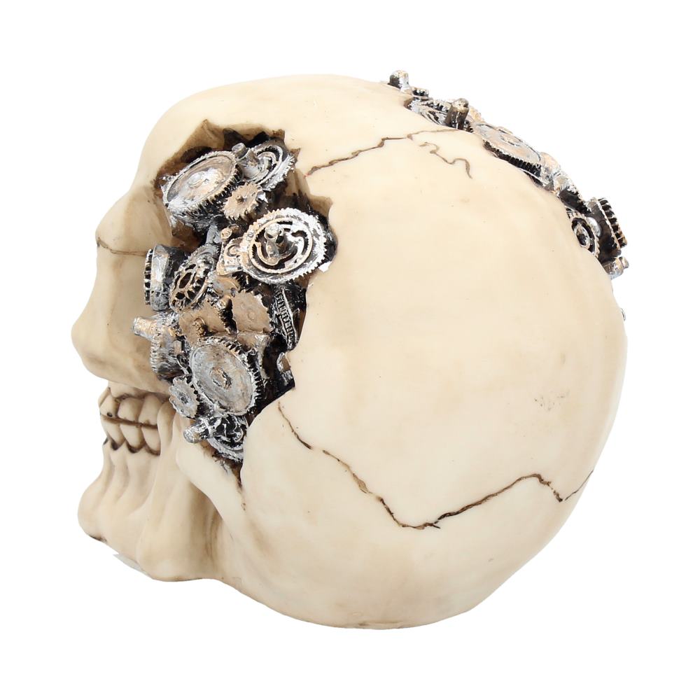 Clockwork Cranium 15cm - Party Seasons