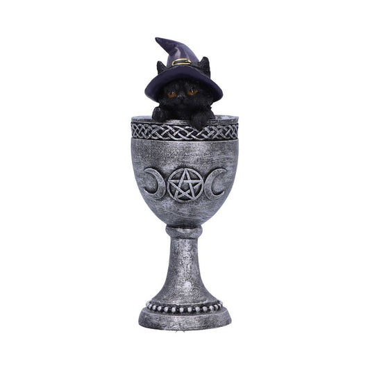 Coven Cup 15.7cm - Party Seasons