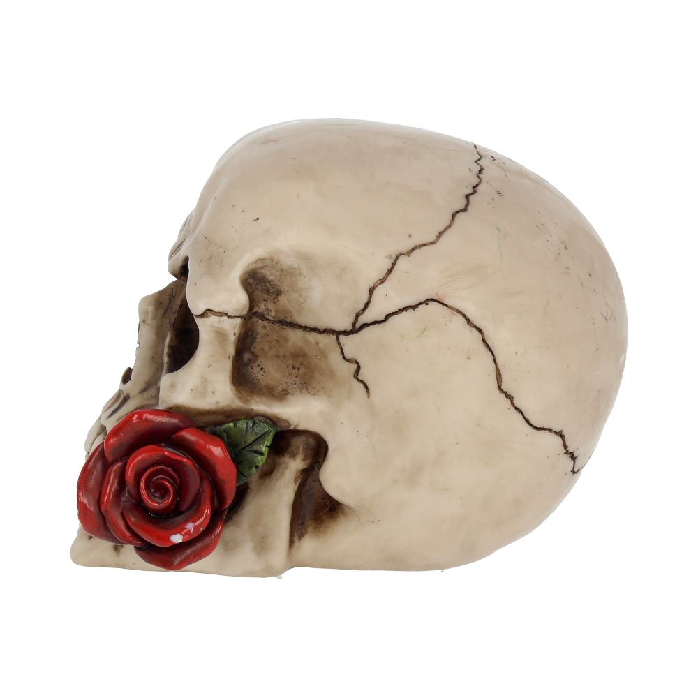 Rose From the Dead 15cm - Party Seasons