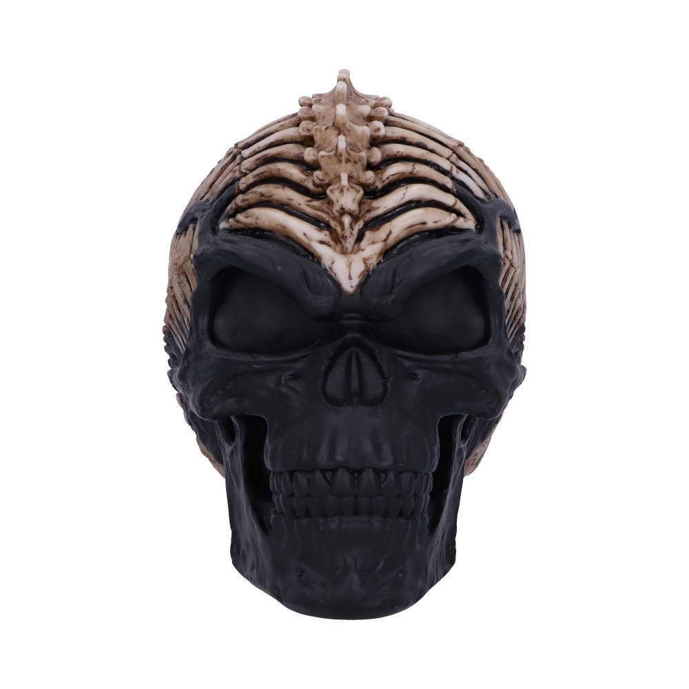 Spine Head Skull (JR) 18.5cm